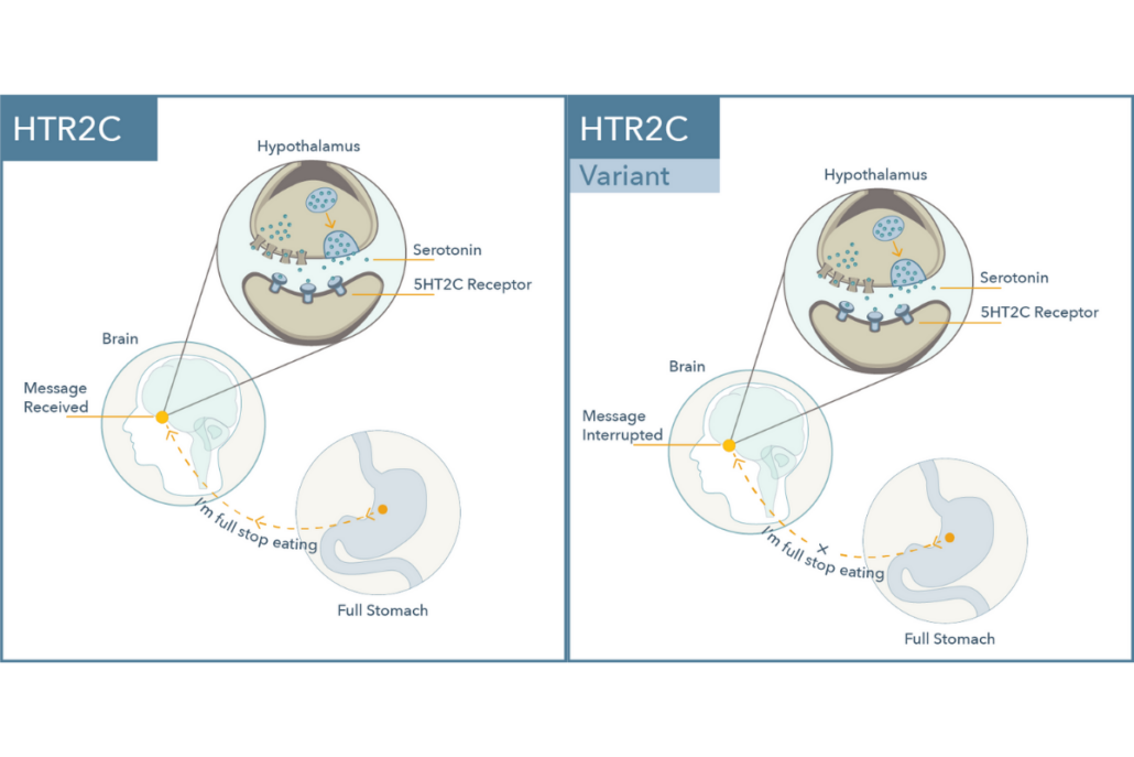 HTR2C and HTR2C Variant