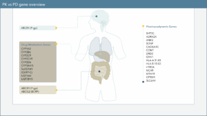 Pharmacodynamic genes listed next to anatomical image